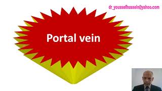 Portal vein  course  tributaries  Portosystemic anastomosis  Esophageal varices  Caput medusae [upl. by Nurav92]