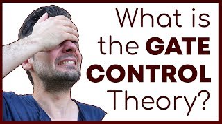 What is the Gate Control Theory of Pain  How Pain Perception Works  Corporis [upl. by Einneg]