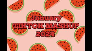 TIKTOK MASHUP 2024 JANUARY 14 2024 VIRAL DANCE [upl. by Yrffej791]