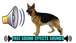 Dog Barking Loud Sound Effect  Loud Dog Bark Sound Effect [upl. by Adnoraj871]