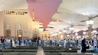 madinah Updates  latest hajj 2024 videos  makkah and madina live  My Hajj 2024 Vlog [upl. by Droffig551]