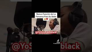 La Perversa Le Saca Una Nueva Canción a Su Bebe Junto a Su Hijo LaPerversa JeyOne Viralb Shorts [upl. by Eadith]