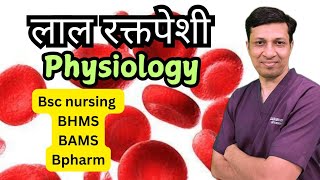 Physiology of Red blood cell  लाल रक्तपेशी मराठीमध्ये [upl. by Deering]