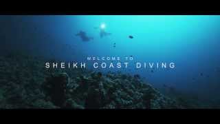 Sheikh Coast Diving Center Domina Coral Bay HD [upl. by Hubsher]