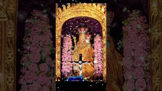 Shrine Basilica  Vailankanni shorts youtubeshorts vailankanni velankanni video youtube yt [upl. by Dibbell368]