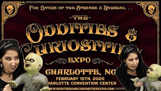 Charlotte Oddities amp Curiosities Expo 2020  My Strange amp Unusual Haul [upl. by Maire]