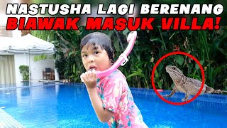 BIAWAK MASUK VILLA PAS NASTUSHA LAGI BERENANG SEMUA PANIK [upl. by Aiet]