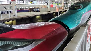 Tohoku Shinkansen bullet train Hayabusa amp Komachi 🚄  Sendai City Miyagi Prefecture Japan [upl. by Anifur]