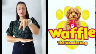 Waffle the wonder dog  CBeebies  Signalong  sign language  The Little Signing Workshop [upl. by Dickie]