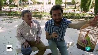 Entrevista a Joselito en Tips TVE con Rafa Rodrigo [upl. by King611]