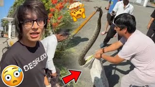 Snake ko rescue kar Liya 😱  sourav joshi vlogs trending souravjoshivlogs [upl. by Feeley]