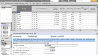 Tax Import Review imported data [upl. by Ara406]