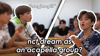 why i love a good nct dream vlive 1 [upl. by Joye135]