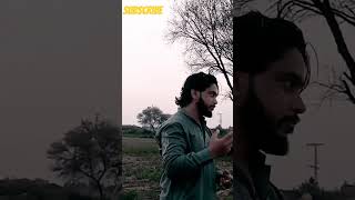 Sidhu moose Wala songs punjbisong 295edits virlvideo sidhumoosewala [upl. by Per154]