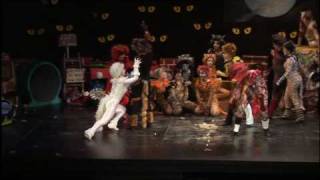 Rum Tum Tugger de Cats Grupo Candilejas [upl. by Earvin]