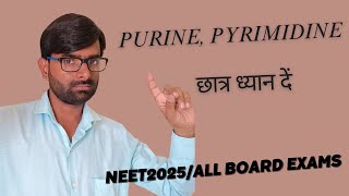 Nucleic acid Purine Pyrimidine NEET NCERTWallahPW NCERTOFFICIAL [upl. by Sharona]