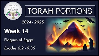 Torah Portion Week 14  Exodus 62  935 Plagues of EndTimes Egypt 2024  2025 [upl. by Corb606]