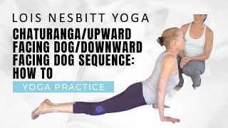 CHATURANGAUPWARD FACING DOGDOWNWARD FACING DOG SEQUENCE HOW TO [upl. by Acul]