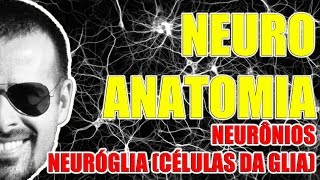 Neurônios e Células da Glia  Sistema Nervoso  Neuroanatomia  VideoAula 082 [upl. by Lleze]