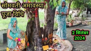 2 सितंबर 2024 somvati Amavasya Pooja  सोमवती अमावस्या की सरल पूजा विधि नियम जानें फेरी कैसे लगाएं [upl. by Bendicta]