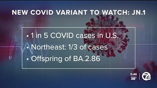 CDC reports JN1 COVID19 subvariant spreading quickly [upl. by Tronna545]