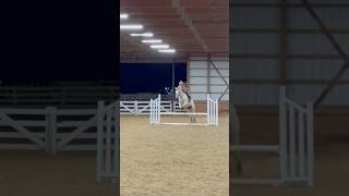 Chickadee bang bang horse horseriding equestrain riding jumping [upl. by Stav]