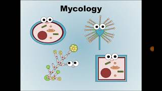 1 Mycology علم الفطريات [upl. by Eelinej]