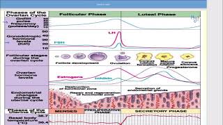 Physiology Practical REP by MHAM [upl. by Leik654]