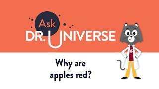 Why Are Apples Red [upl. by Lathrop]