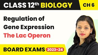 Class 12 Biology Regulation of Gene Expression  Class 12 Biology Chapter 6 The Lac Operon 202223 [upl. by Dreddy]