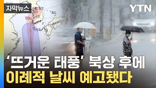 자막뉴스 습기 몰고 오는 태풍 종다리이후 두려운 예고  YTN [upl. by Rossuck]