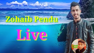 Zohaib Pendu Gaming Live Stream [upl. by Ahsuatan65]