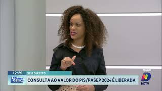 Seu Direito consulta ao valor do PISPasep de 2024 é liberada [upl. by Fine644]