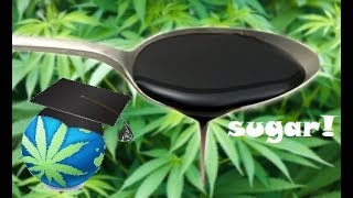 Adding Sugars To Cannabis Plants Guide – Molasses Corn Syrup or Honey [upl. by Gough]