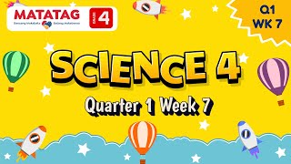 MATATAG Science 4 Quarter 1 Week 7 [upl. by Niklaus135]