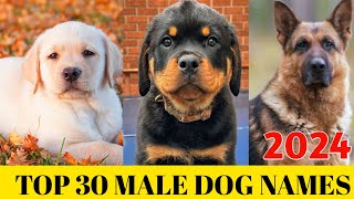 Male dog Names 2024  Top 30 Male Dog Names  New dog names [upl. by Villiers454]