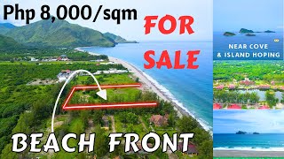 LFS 100  TITLED Beachfront land for sale in the Philippines 2024 [upl. by Delano]