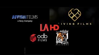 Affirm FilmsGiving FilmsODB FilmsMandalay Pictures [upl. by Haonam]