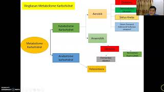 metabolisme karbohidrat 1 [upl. by Rexferd]