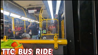 TTC 509 Streetcar Replacement Night Ride from Union Station to Spadina [upl. by Adnaluoy]