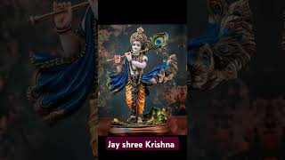 Jay Shree Krishna 🙏🌺🙏shortvideo youtubeshorts bhaktisong [upl. by Rossi550]