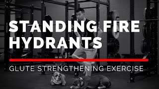 Standing Fire Hydrants GLUTE Strengthening Exercise [upl. by Kcirttap756]