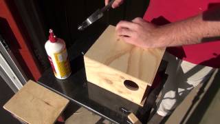 How To Build a Budgie Nest Box  BirdSpyAus [upl. by Kahcztiy421]