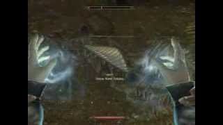 Rare Monster Fights on Skyrim  Episode 1  Chaurus Hunter Fledgling [upl. by Brodie]