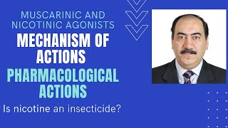 Mechanisms amp pharmacological actions of muscarinic amp nicotinic agonists [upl. by Gareri208]