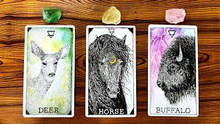 THE HONEST TRUTH ABOUT YOUR CURRENT SITUATION 🍀🌙🔮  Pick a Card Tarot Reading [upl. by Ettezzus522]