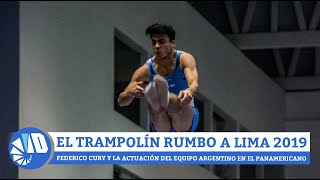 Gimnasia trampolín  Argentina se prepara para Lima 2019 [upl. by Bonnee625]