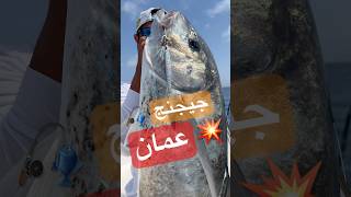 Bludger Trevally on Samurai Sparrow Jig 120g  Oman [upl. by Saval]