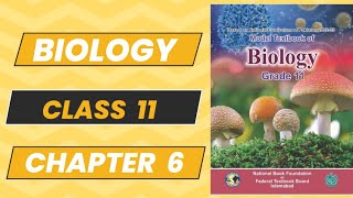 Biology 11 Chapter 6 Exercise New Book NBF 2024 Long Questions Complete Explanation  Federal Board [upl. by Adahsar991]