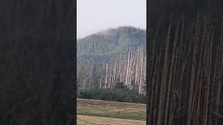 Monk Loves Views in Reedsport Oregon We Are Monk Love [upl. by Nitsua]